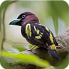 WWW,463se·COM网站APP