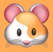 七七影视app下载安装APP应用