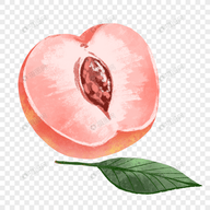 非凡TV官方正版下载APP应用